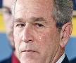 bush2 bush2